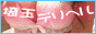 �t�����E�z�J�E��΁E�����Ȃǂ֍����o��